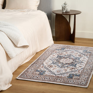 Easy Clean Rug Classic Boho Style Living Room Area Rug