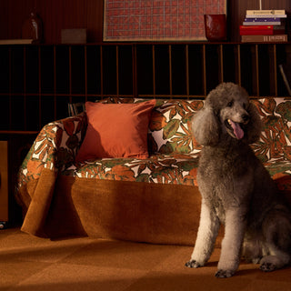 Autumn Leaves Scratch & Stain Resistant Sofa Cover for Pets