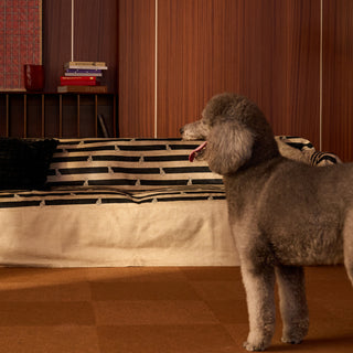 Pet Claw & Stain Resistant Cheetah Chic Sofa Cover