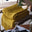 Golden Mustard